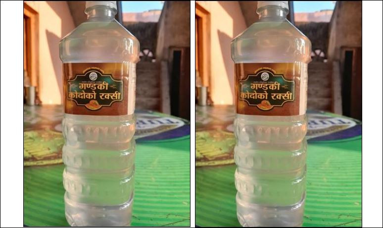 गोरखामा लोकल मदिराको ब्राण्डिङ सुरु