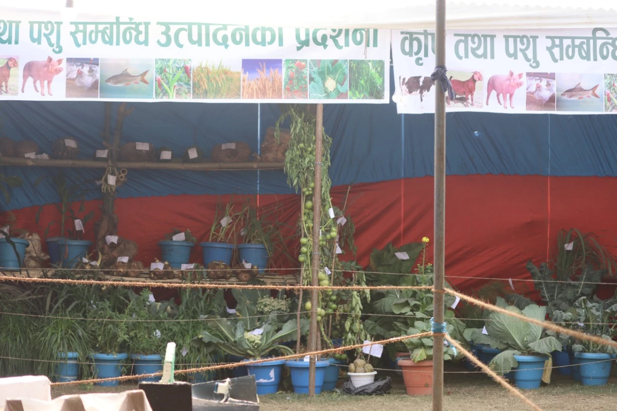 नवौं देवदह महोत्सव : टोलविकास संस्थाहरु विच समन्वयात्मक बैठक