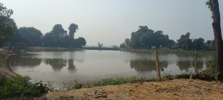 देवदह तालमा पस्यो सुनवलको राजनीति