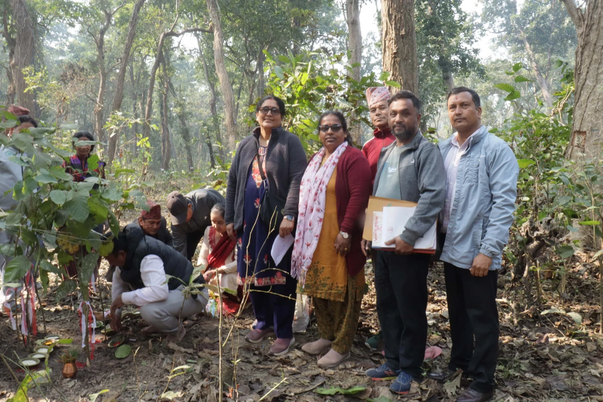 जनप्रिय सामुदायिक वनमा पुनरुत्पादन कटान क्षेत्रको अवलोकन