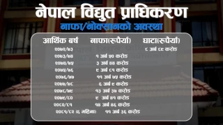 ६ महिनामा विद्युत प्राधिकरणको नाफा ११ अर्ब ३६ करोड