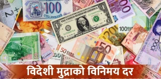 डलर–युरोको भाउमा निरन्तर बृद्धि