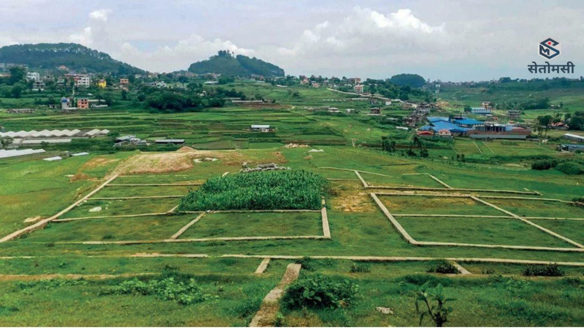 घरजग्गा कारोबारमा उल्लेख्य वृद्धि