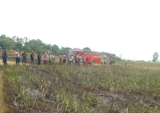 सुनवलमा आगलागीबाट १० कठ्ठाको उँखुबाली नष्ट