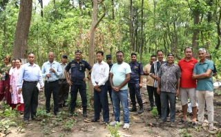 प्रगति वनमा करिव ७ हजार क्यूफिट काठ संकलन