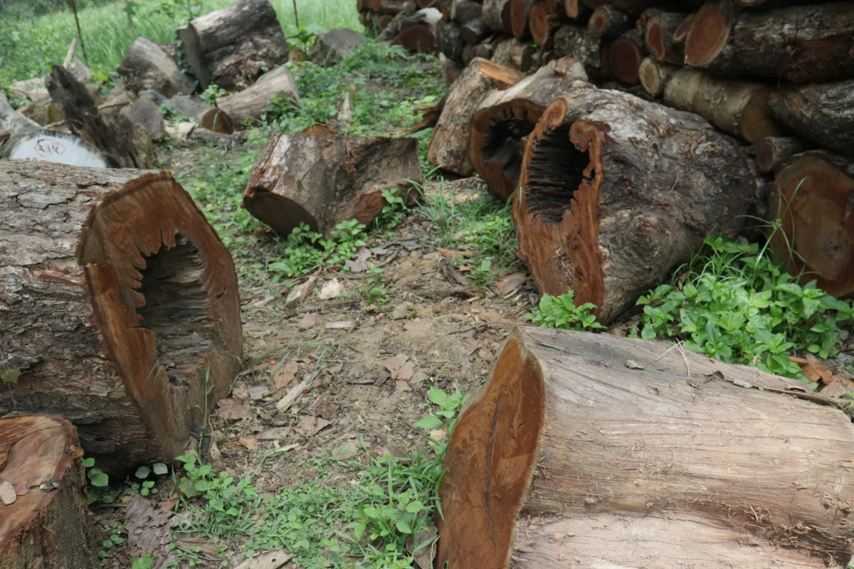 pragati photo 2-min.JPG