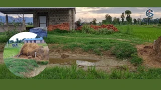 ढलेको पिल्लर उठाउन गएका चिनक कहिल्यै नउठ्ने गरी ढले
