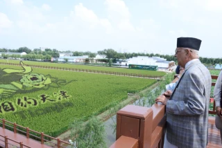 प्रधानमन्त्री ओलीद्धारा सिआओझानस्थित धान उत्पादन विशेष क्षेत्रको अवलोकन