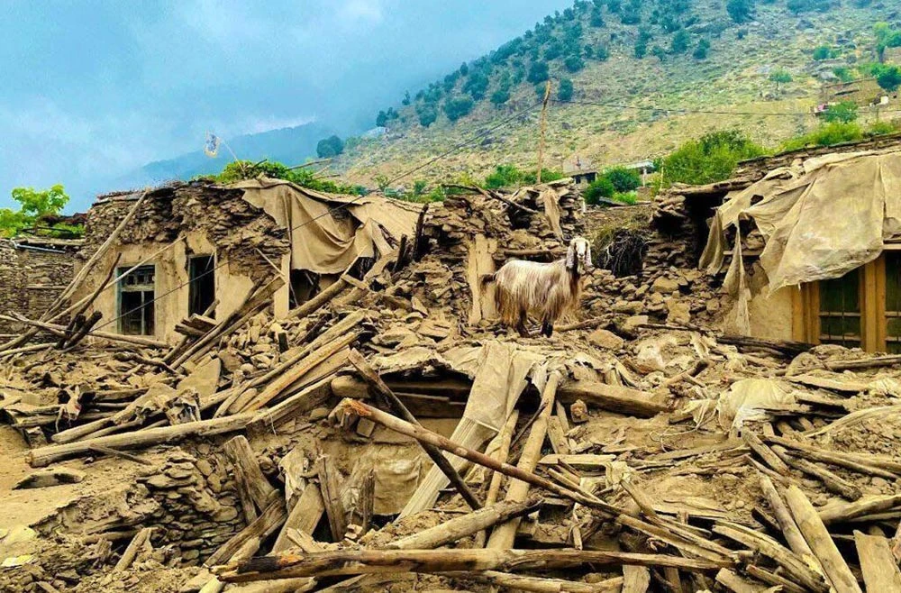 अफगानिस्तानको भूकम्पमा मृत्यु हुनेको संख्या ८०० नाघ्यो