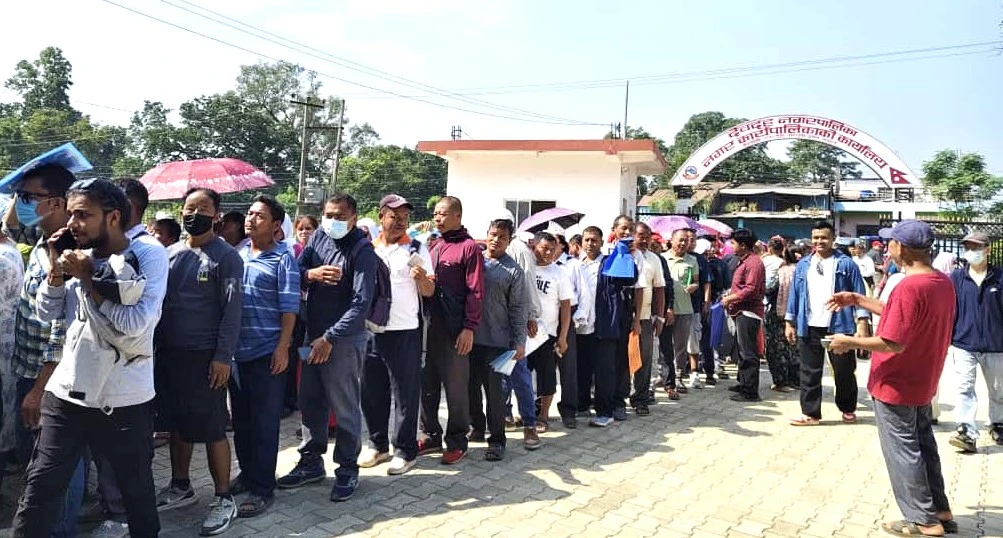 purja 1.jpg