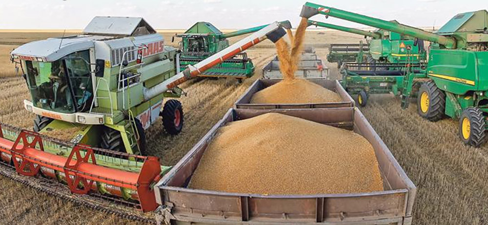 विश्वव्यापी अन्न उत्पादन रेकर्ड स्तरमा वृद्धि हुने अपेक्षा