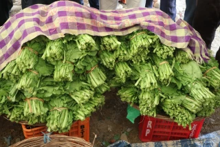 देवदहको सोमबारे हाटबजार अनुगमन : रायोको सागमा भेटियो अत्यधिक विषादी