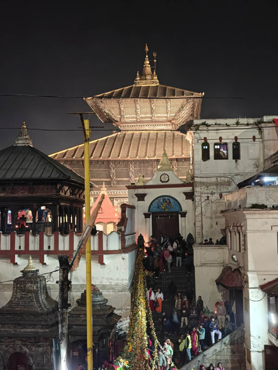 pashupati_41763519876.jpg