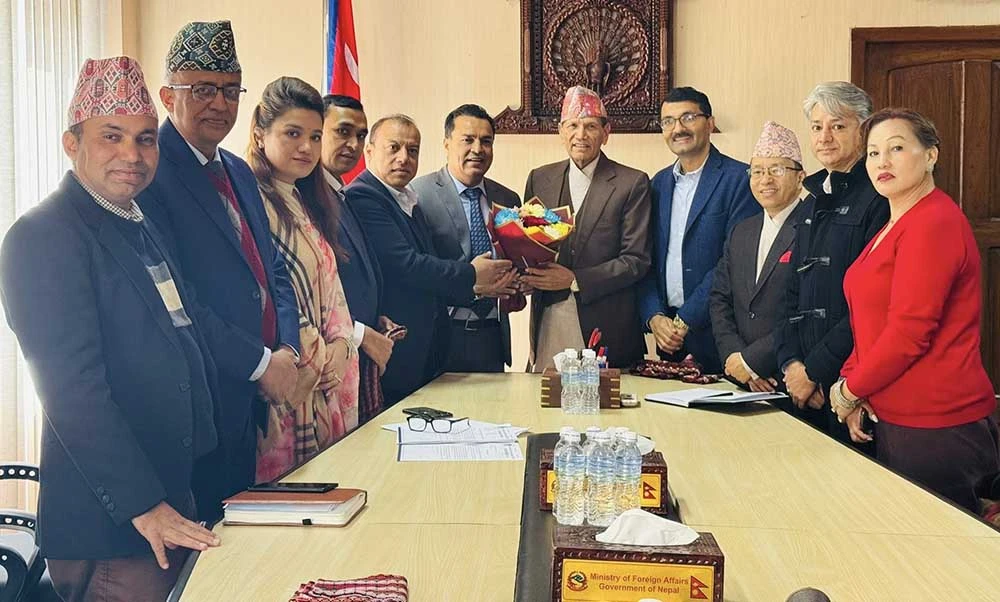 गैरआवासीय नेपाली विधेयकमा व्यापक संशोधन गर्न एनआरएनएको माग