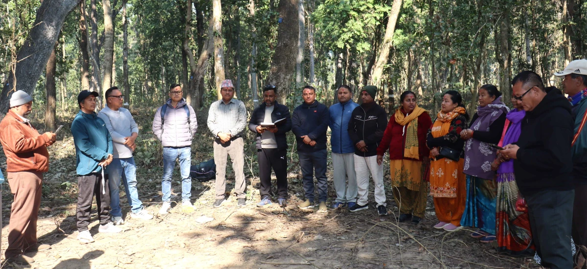 जनप्रिय सामुदायिक वनमा पुनरुत्पादन कटान क्षेत्रको अवलोकन