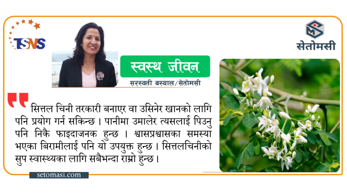 तिहार र मिठाइका परिकार