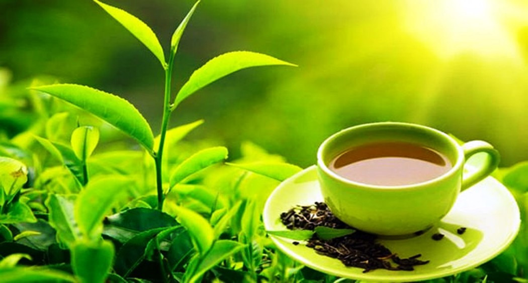 चिया निर्यात समस्या समाधानका लागि विशेष कार्यदल: दुई हप्ता  भित्र प्रतिवेदन पेस गर्ने