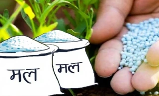 गुल्मीमा रासायनिक मल वितरणमा कालोबजारी