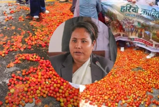 टमाटर किसानसँग मन्त्री गिता चौधरीको छलफल