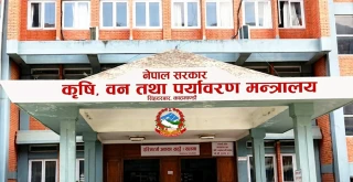 आज १ हजार २५० मेट्रिक टन डिएपी मल आइपुग्दै