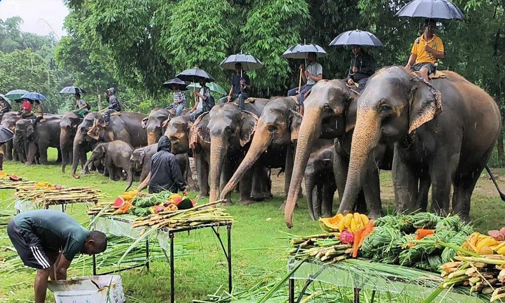 प्रेम दिवसमा सौराहामा बढेन रौनकता