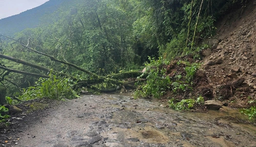 रिडी रुद्रवेणि सडक एक सातादेखि अवरुद्द, सडक खुलाउन नेपाली सेनाकाे सहयाेग लिईने 