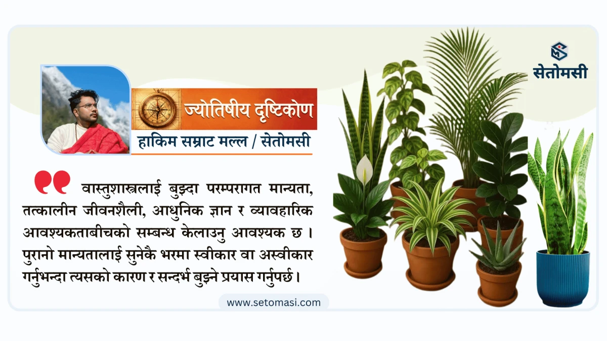 घरमा काँडेदार र चोपयुक्त बिरुवा कहाँ राख्ने ?